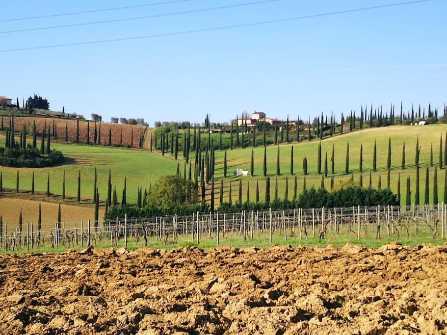Castello Di Fulignano Ildebrando Superior Apartment San Gimignano Esterno foto